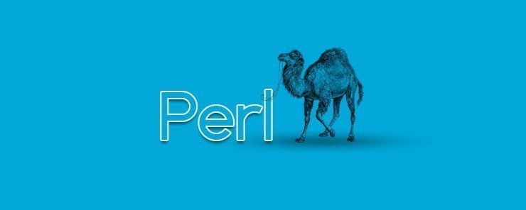 Perl hacking programs