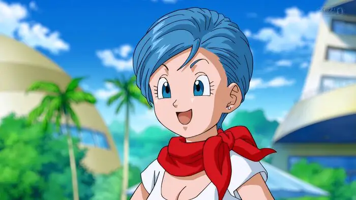 Bulma Briefs from the "Dragon Ball" series